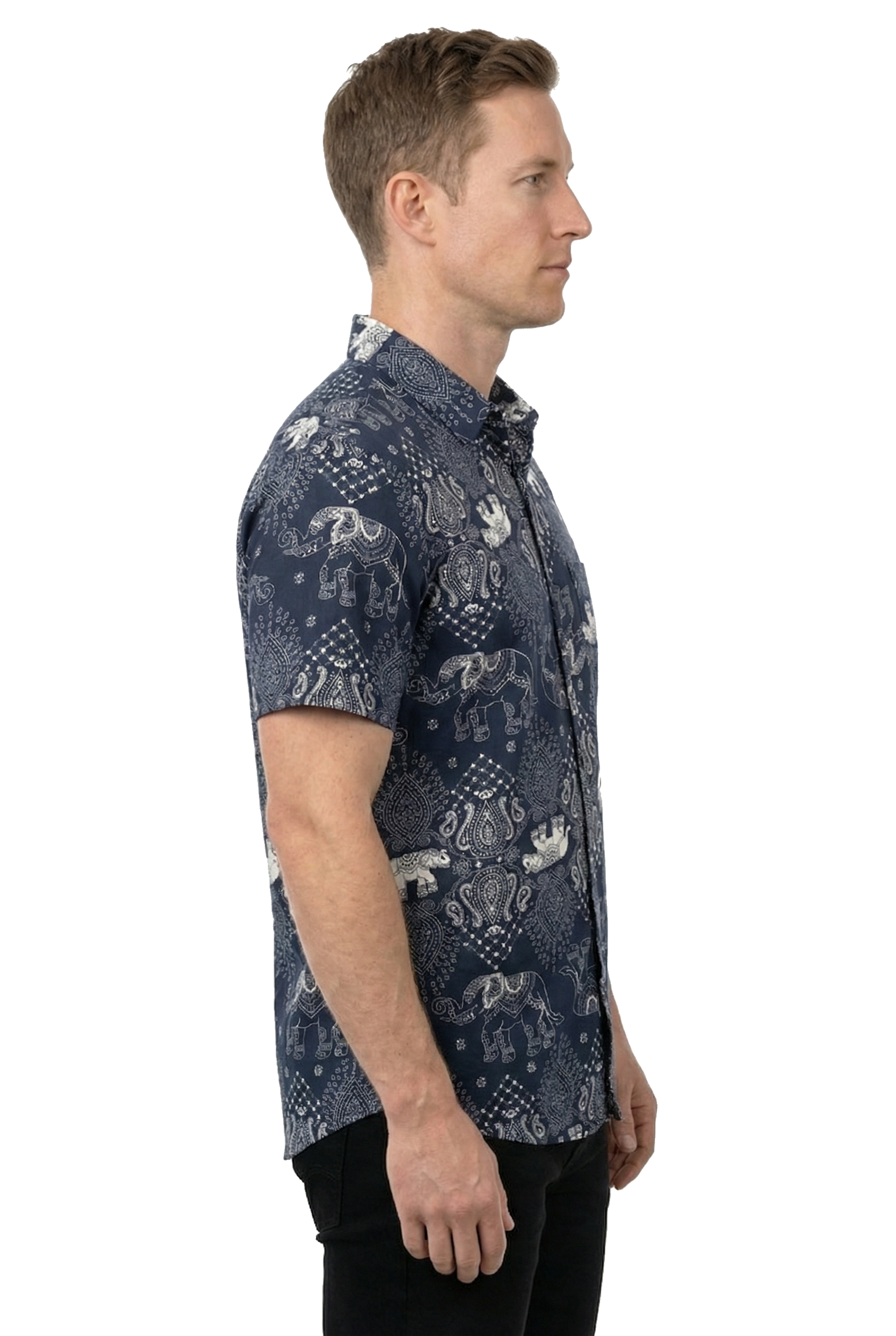 The Indus Printed Shirt